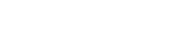 LearnerVantage
